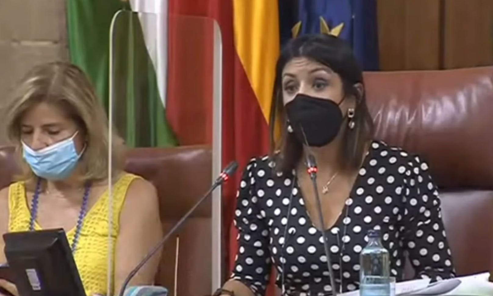 Im Parlamentssaal der südspanischen Region Andalusien sorgte eine Ratte für Chaos. 