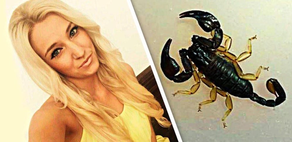 Julia hatte unbemerkt einen Skorpion aus dem Urlaub mitgenommen.