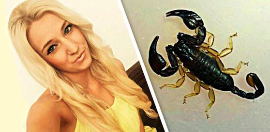 Julia hatte unbemerkt einen Skorpion aus dem Urlaub mitgenommen.