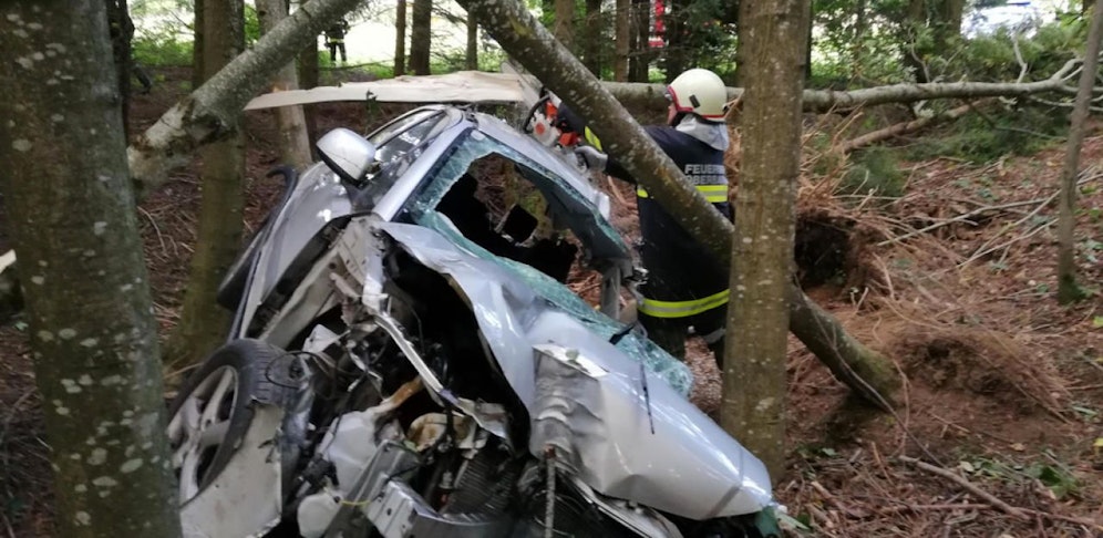 August Z. (63) verlor nach den Wespenstichen das Bewusstsein, krachte mit dem Auto in einen Wald.