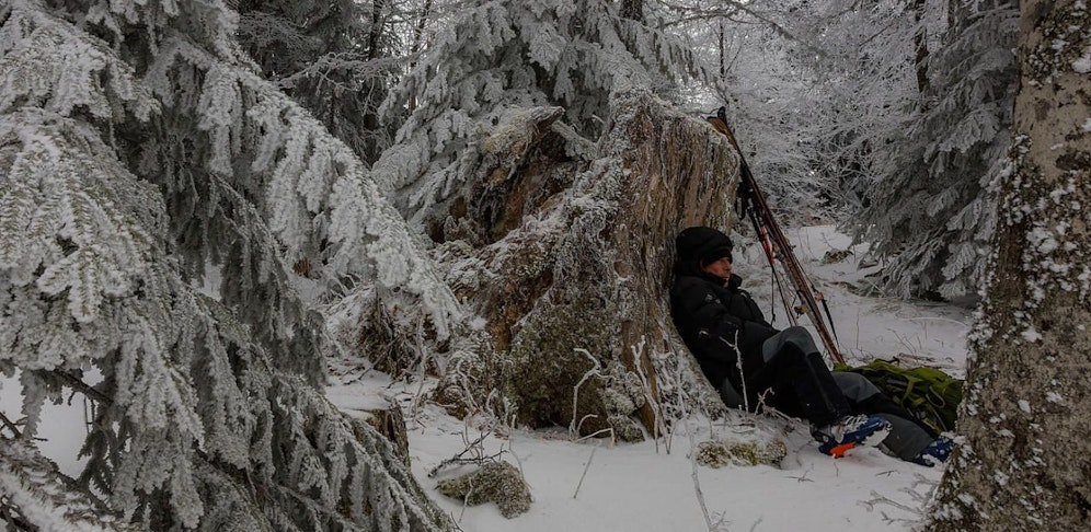 Jean-Michel Bertrand