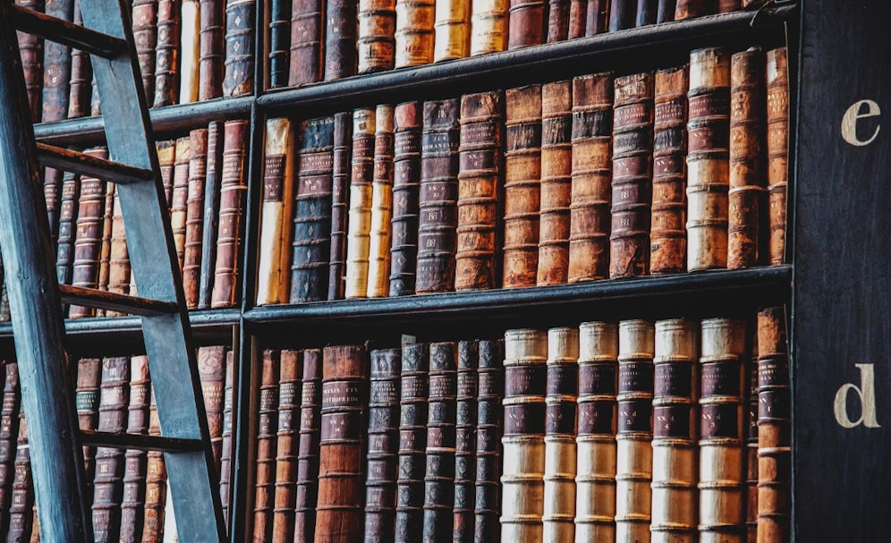 Bibliotheken sind nicht nur etwas für Leseratten, sondern auch für Fans von herausragender architektonischer Leistung. 