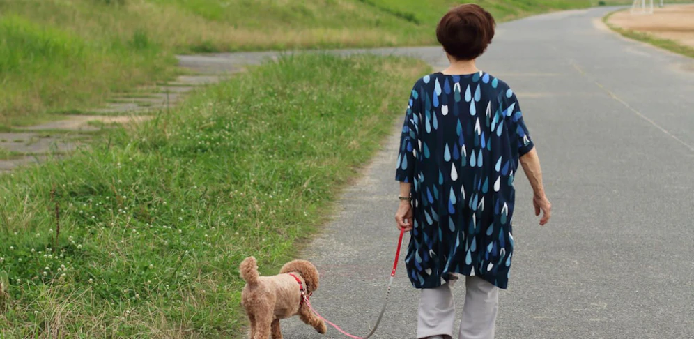 Die Frau ging gerade mit ihrem Hund spazieren, als der Unfall passierte. 