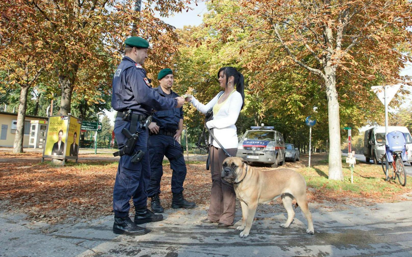 Wer bei einer Polizeikontrolle für seinen Listenhund keinen Hundeführschein vorweisen kann, riskiert saftige Strafen. 