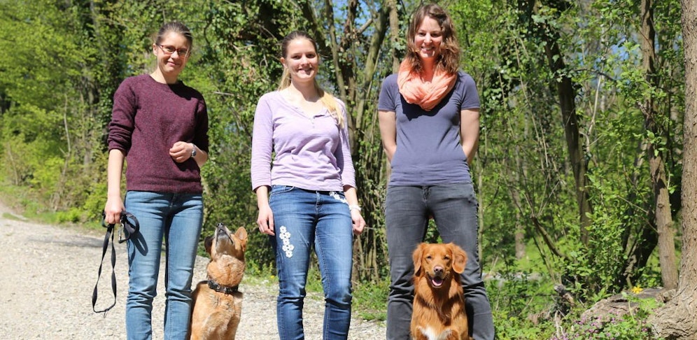 Die Artenspürhunde bei der Arbeit.