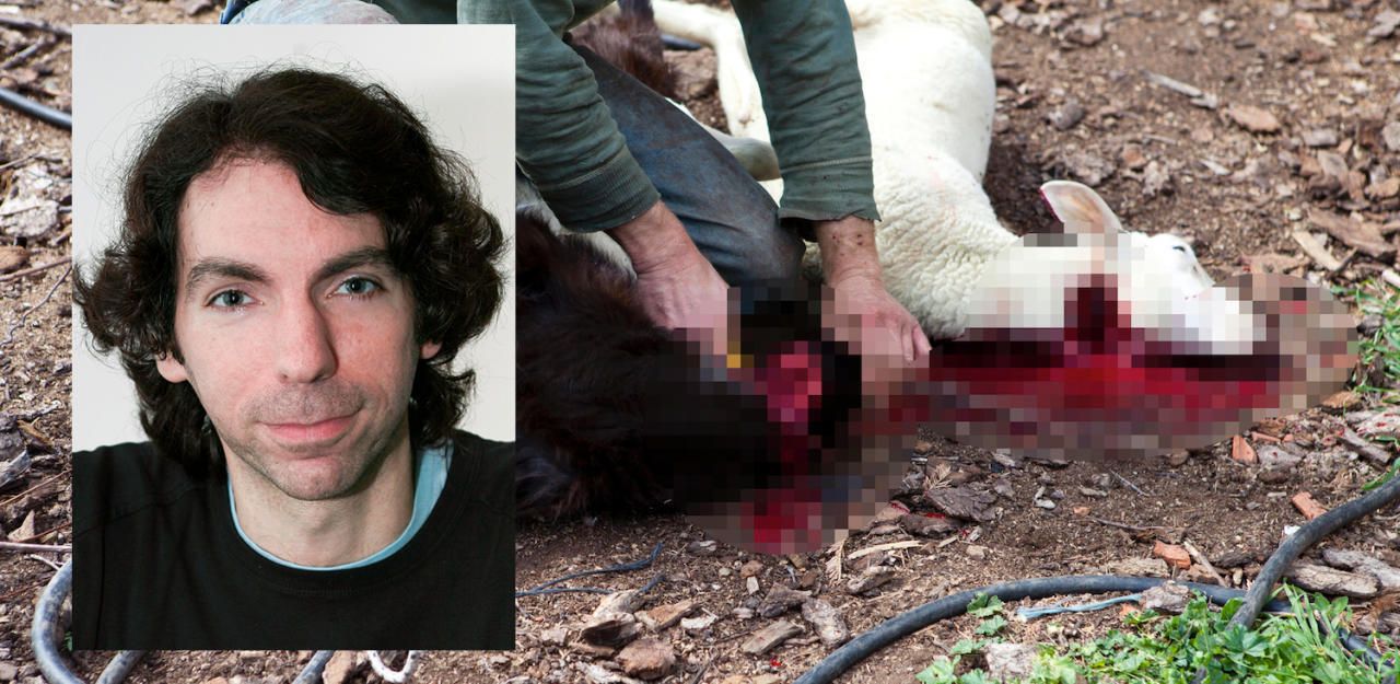 Heute.at - SOS Mitmensch wirft Waldhäusl 'Fake News' vor