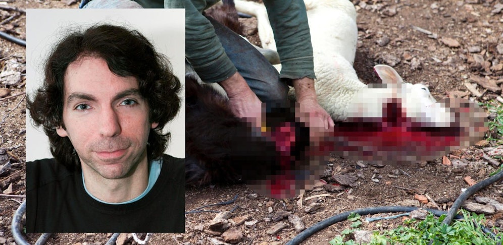 Alexander Pollak von "SOS Mitmensch" wirft Waldhäusl vor, Falschinformationen zu verbreiten.