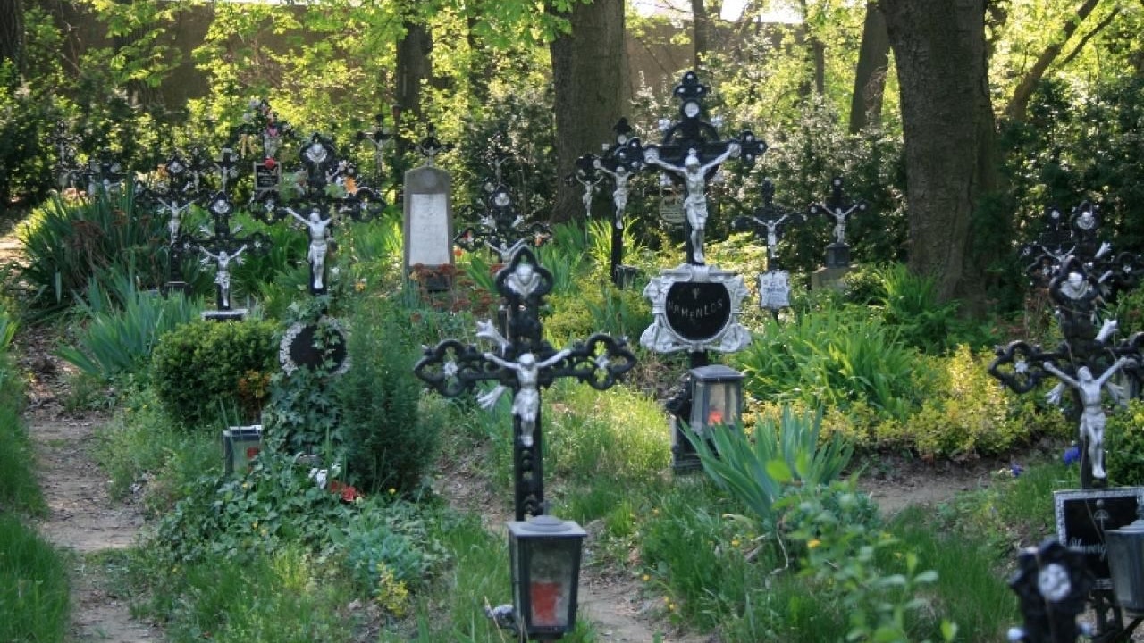 Friedhof der Namenlosen:  Neuer Fußweg macht ihn zugänglich - Wien | heute.at