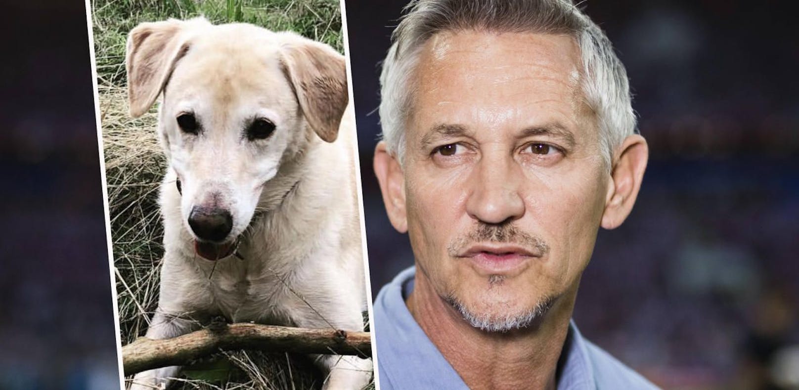 Gary Lineker trauert um seinen Hund Snoop.