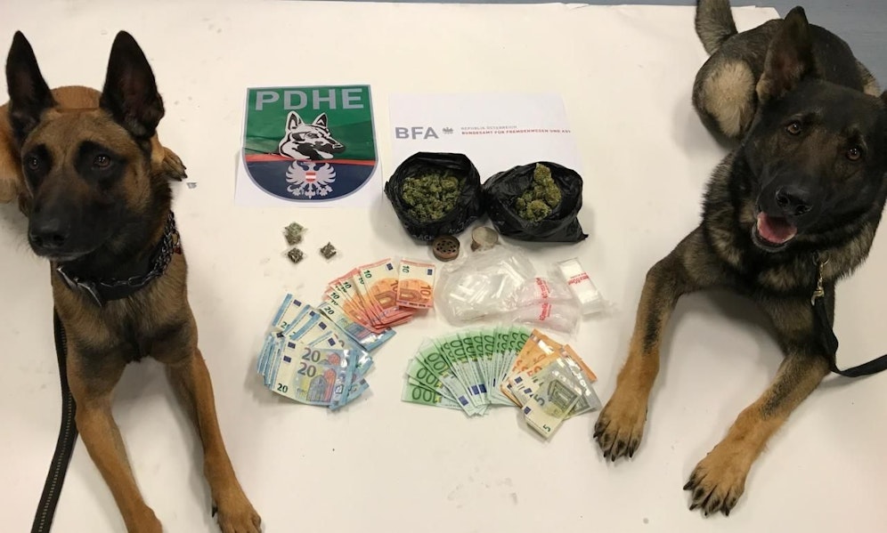 Carlos und Yankee erschnüffelten die Drogen im Gackerl-Sackerl.