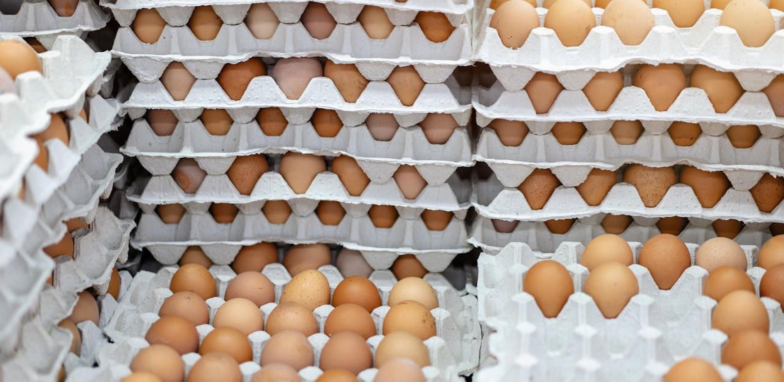 Ermittlungen gegen einen eierverarbeitenden Betrieb in NÖ