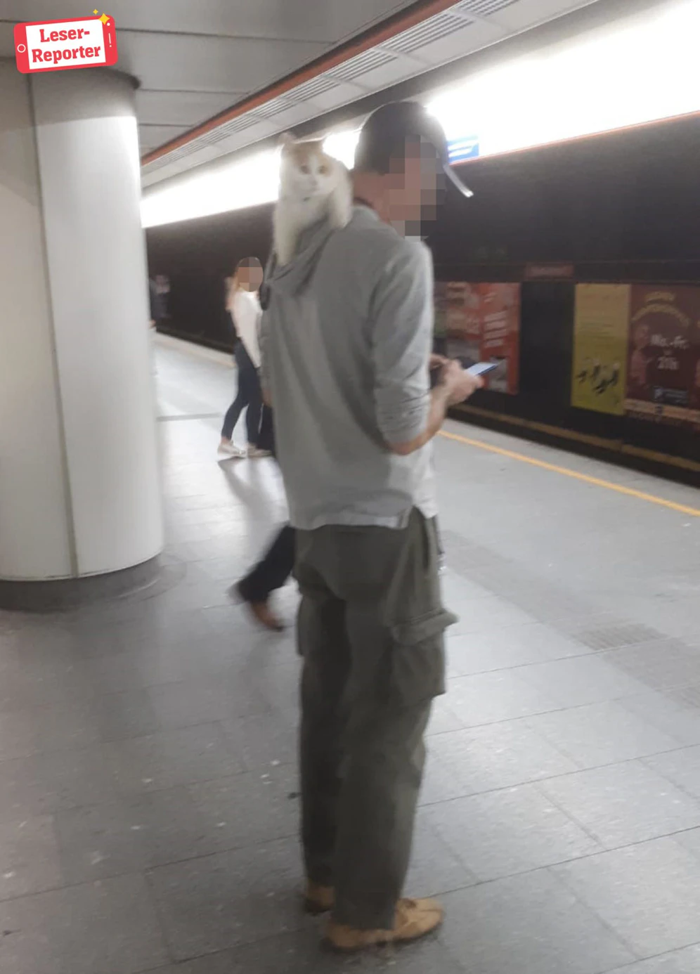 Das coole Duo wurde in der Wiener U-Bahn entdeckt.