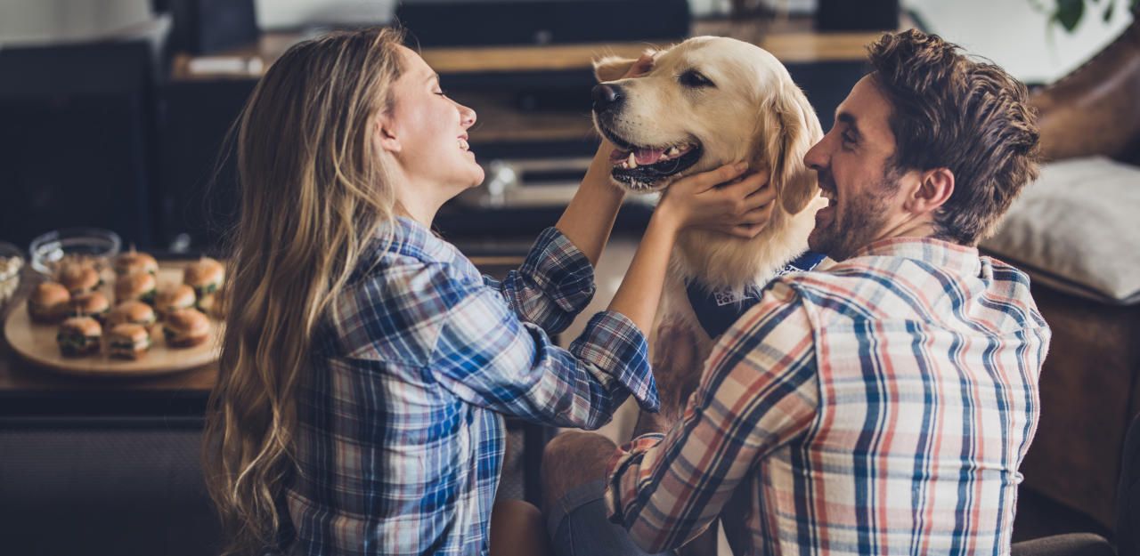 Ein Partner muss auf das Tier verzichten.