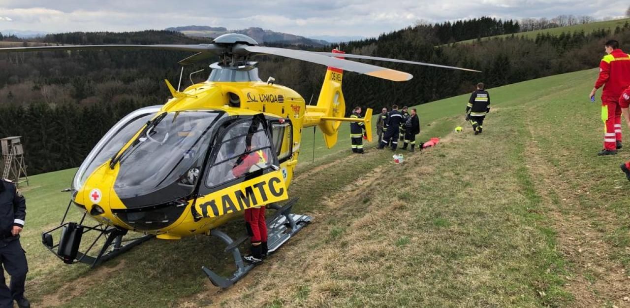 Heute.at - Mann bei Forstarbeiten schwer verletzt