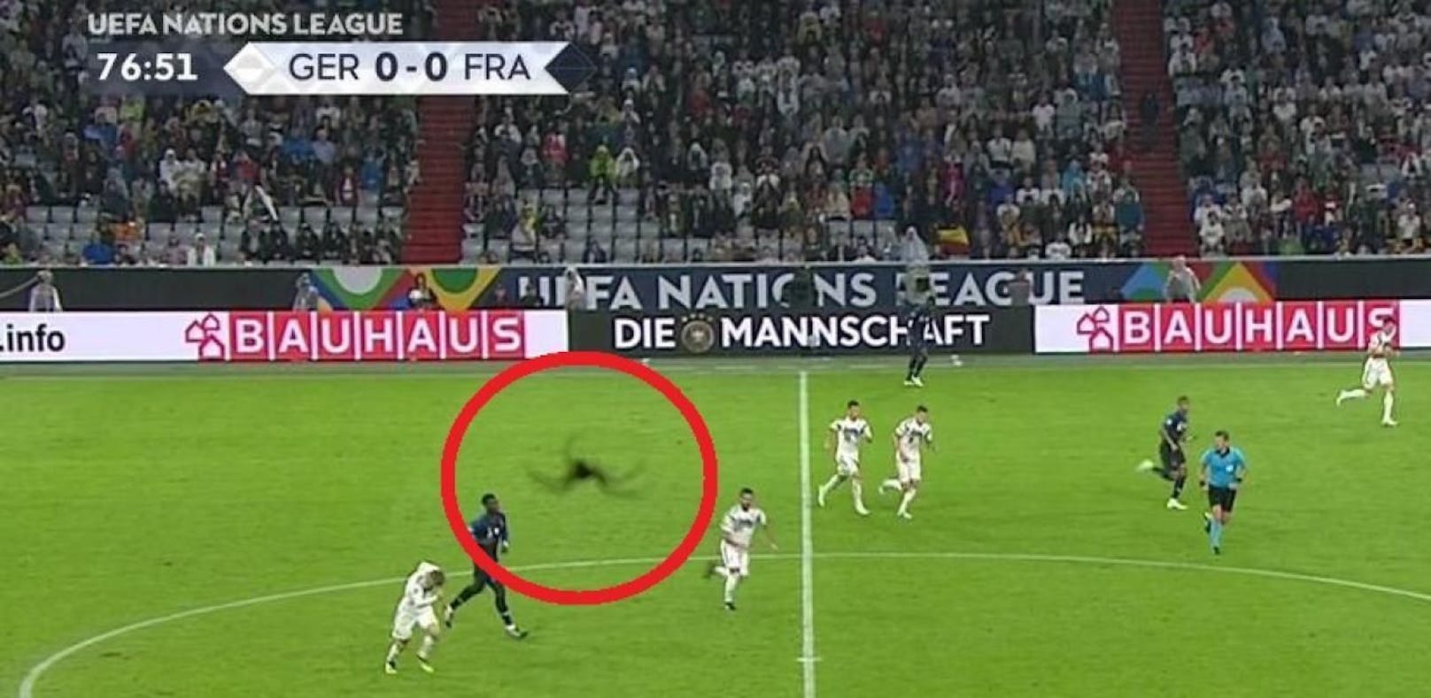 Eine Spinne seilt sich live im TV ab, zieht im Mittelfeld die Fäden. Foto: Screenshot ZDF