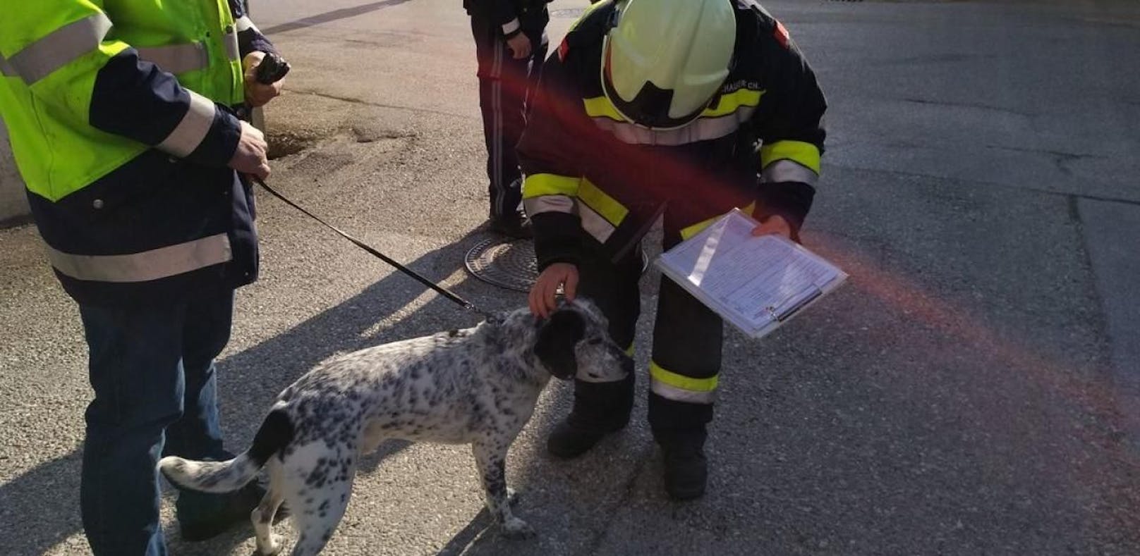 Herrchen im Spital: Feuerwehr betreut Hund