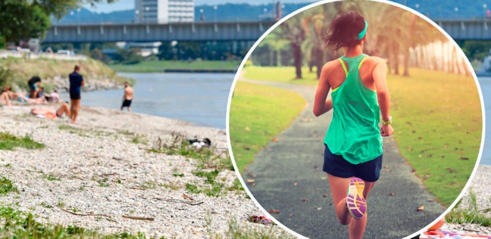 In Alturfahr, wo auch der beliebte Donaustrand ist, kam es laut Joggerin zu der Attacke.