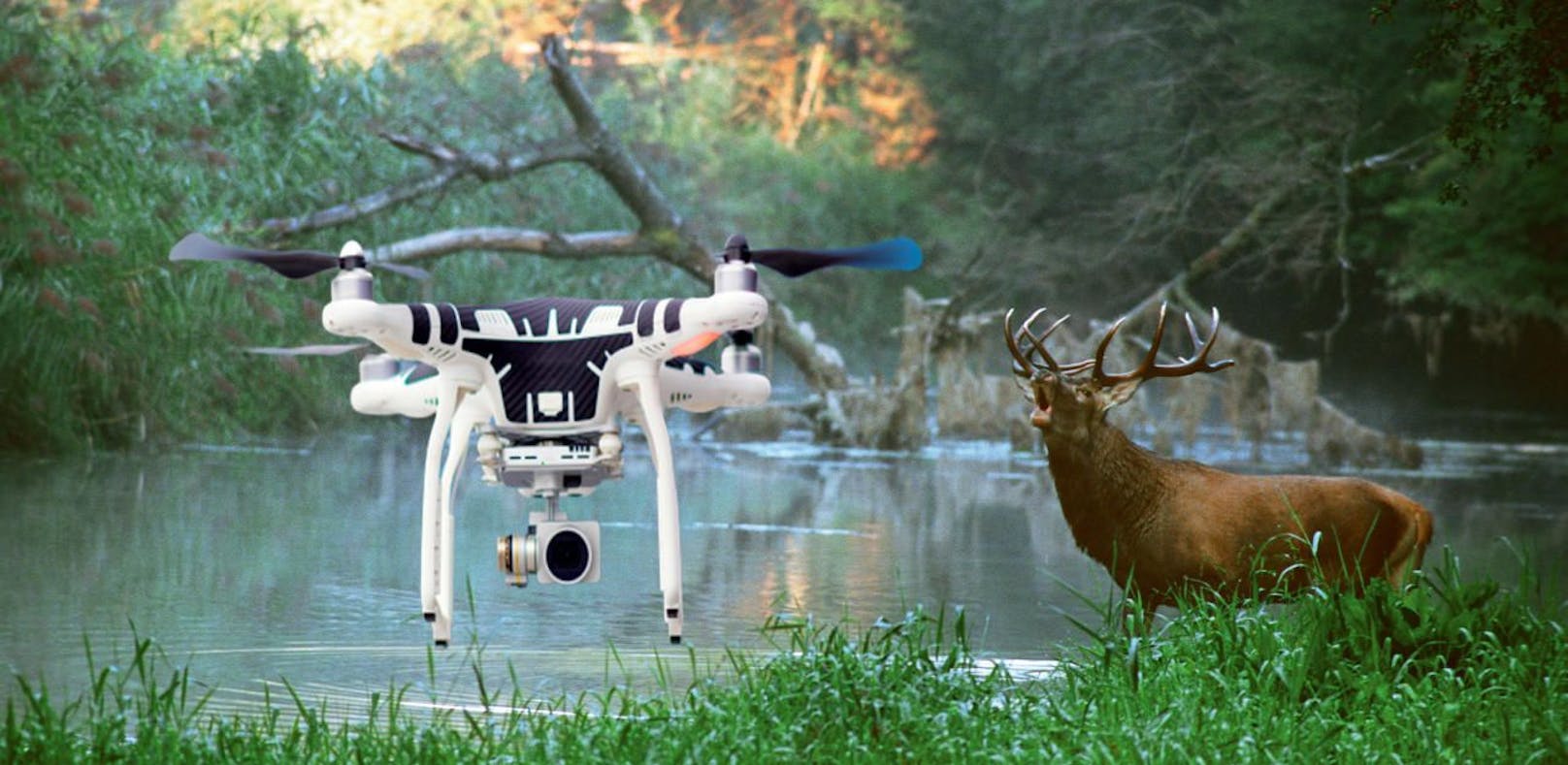 Drohnen schwirren trotz Verbots über Nationalpark