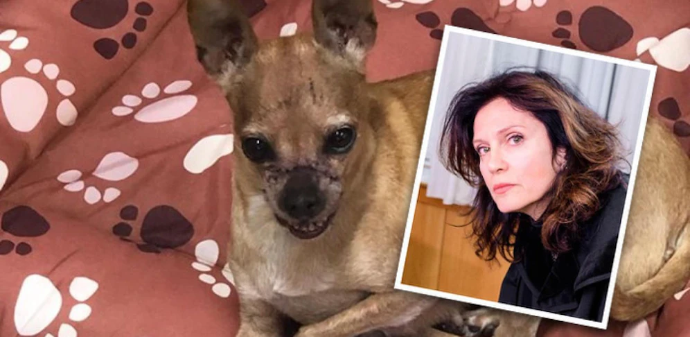 Die geflickte "Carrie" und Astrid Wagner
