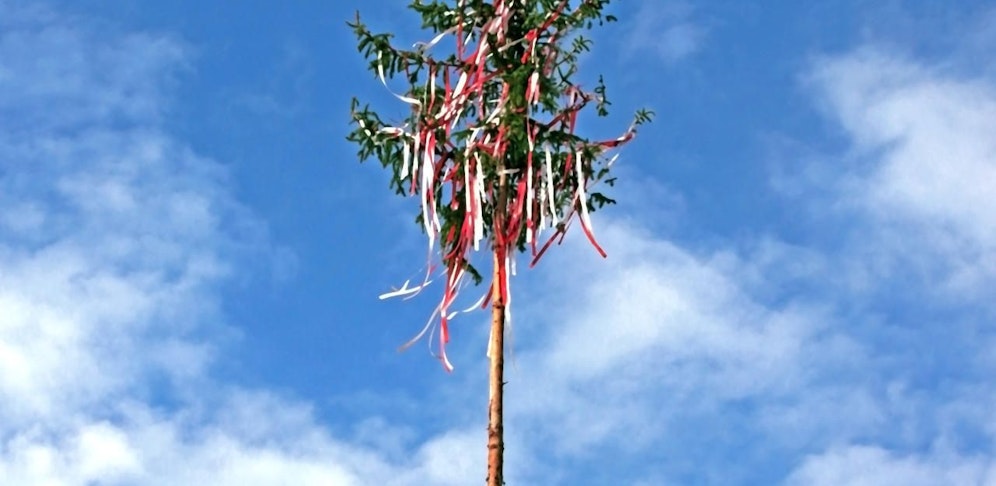 Kein Maibaumaufstellen heuer in Niederösterreich.