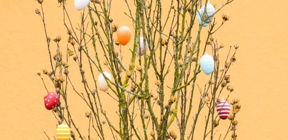 Dieser Osterstrauch steht in einem Linzer Vorgarten.