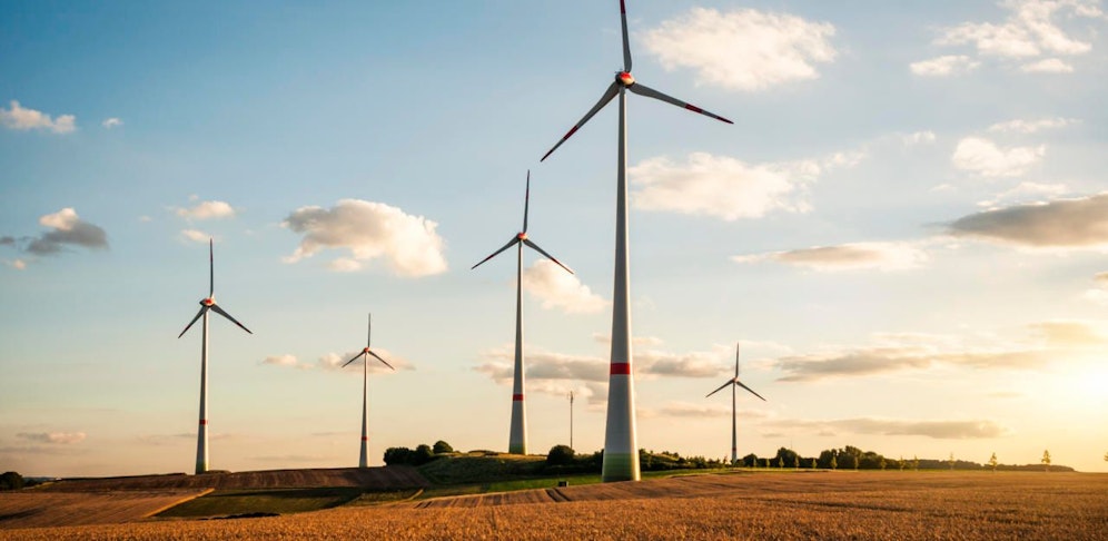 Aus für den Windpark in Traismauer.