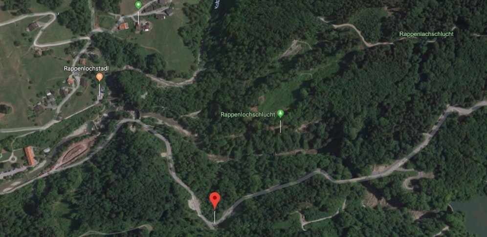 Die Leichen wurden oberhalb der Gütlestraße in einem Waldstück gefunden.