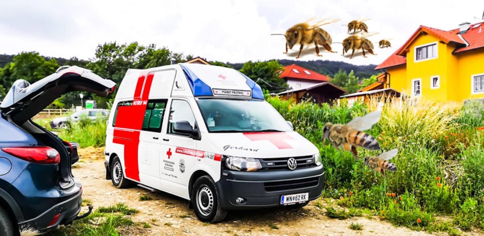 Bienen stachen zu: Mann musste ins Spital gebracht werden.