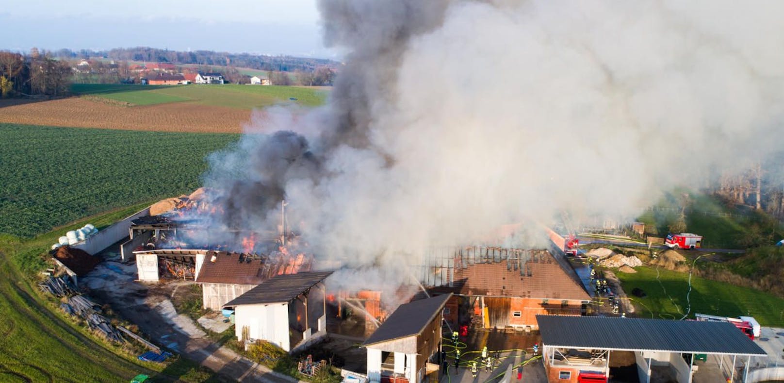 Alarm: 14 Feuerwehren kämpfen gegen Flammen