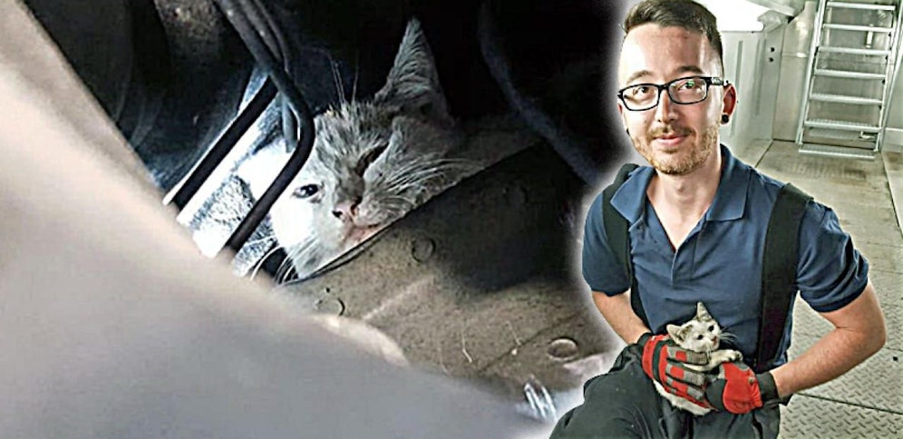 Feuerwehrmann Dominik Schöngruber befreite das Kätzchen aus seiner misslichen Lage.  