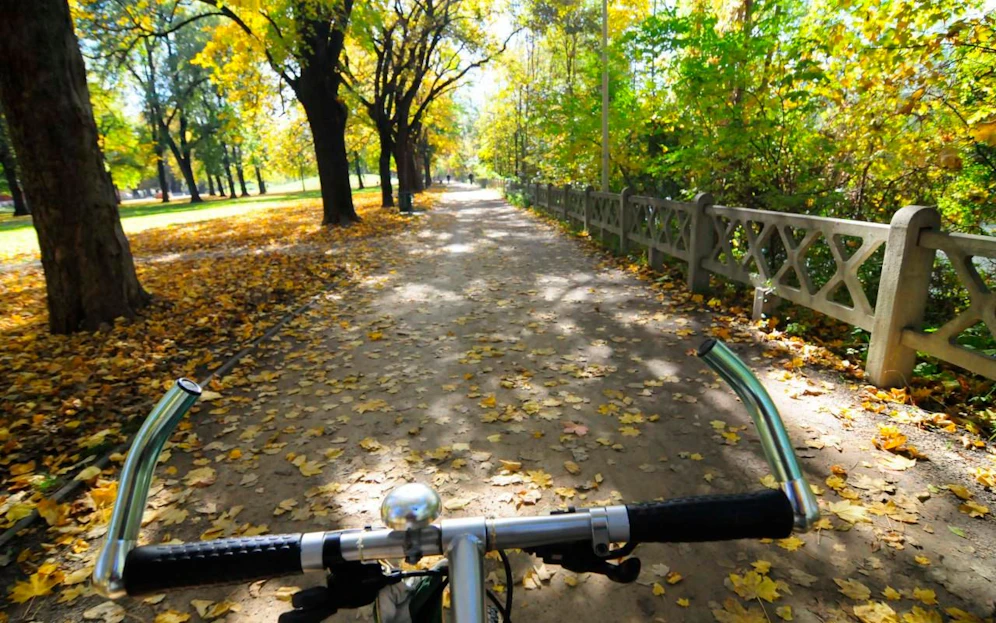 Der Sex-Täter (37) aus Gießen (D) lauerte seinen 29 Opfern mit dem Fahrrad auf, begrapschte sie dann an Brust und Po (Symbolbild). 