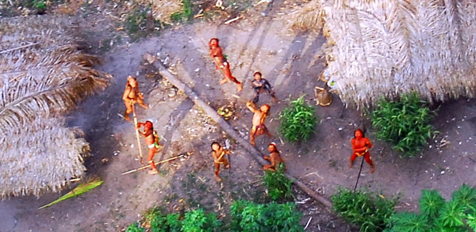 2008 wurde der Stamm mit einer Drohne gefilmt. 