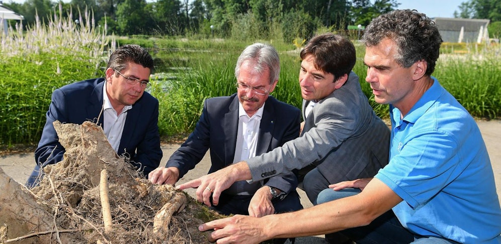 Tullns Bürgermeister Peter Eisenschenk, Landesrat Karl Wilfing, Garten Tulln-Geschäftsführer Franz Gruber und Gartenleiter Thomas Uibel.  