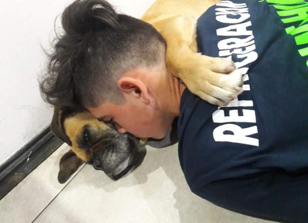 Der Hund starb vor Angst in den Armen seines Herrchens.