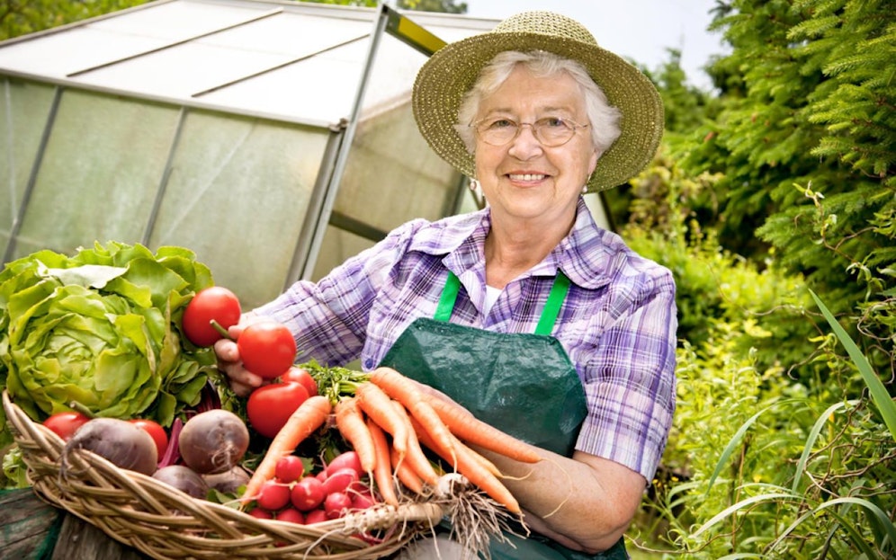 Vor dem Aus: Bioprodukte vom Wiener Biohof Polzer (Symbolbild)