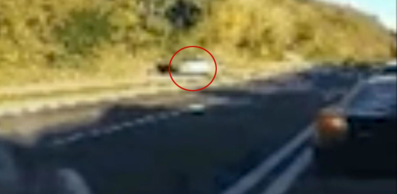 Heute.at - Fahrerflüchtiger rast am Radweg an Stau vorbei