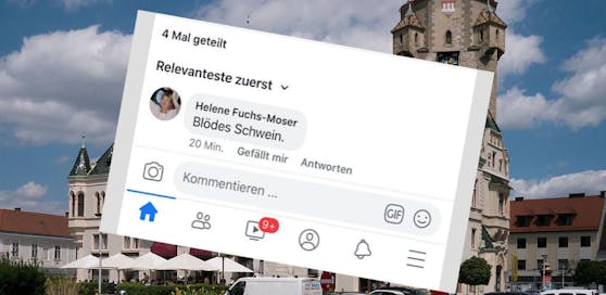 Wirbel im Rathaus Korneuburg nach "Schweine"-Posting von Vizebürgermeisterin.