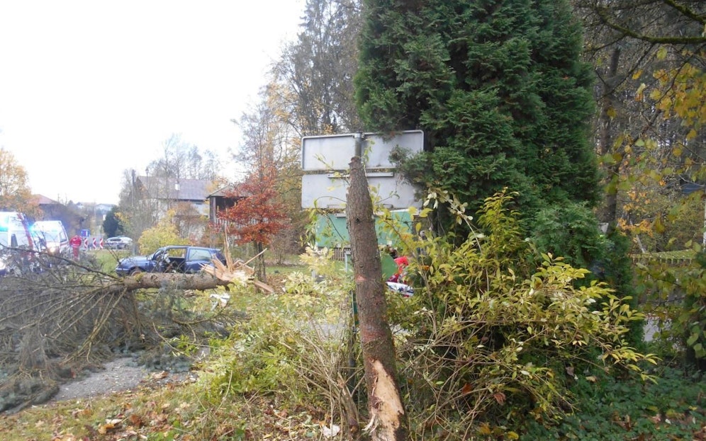 Der Alkolenker zog eine Spur der Verwüstung.