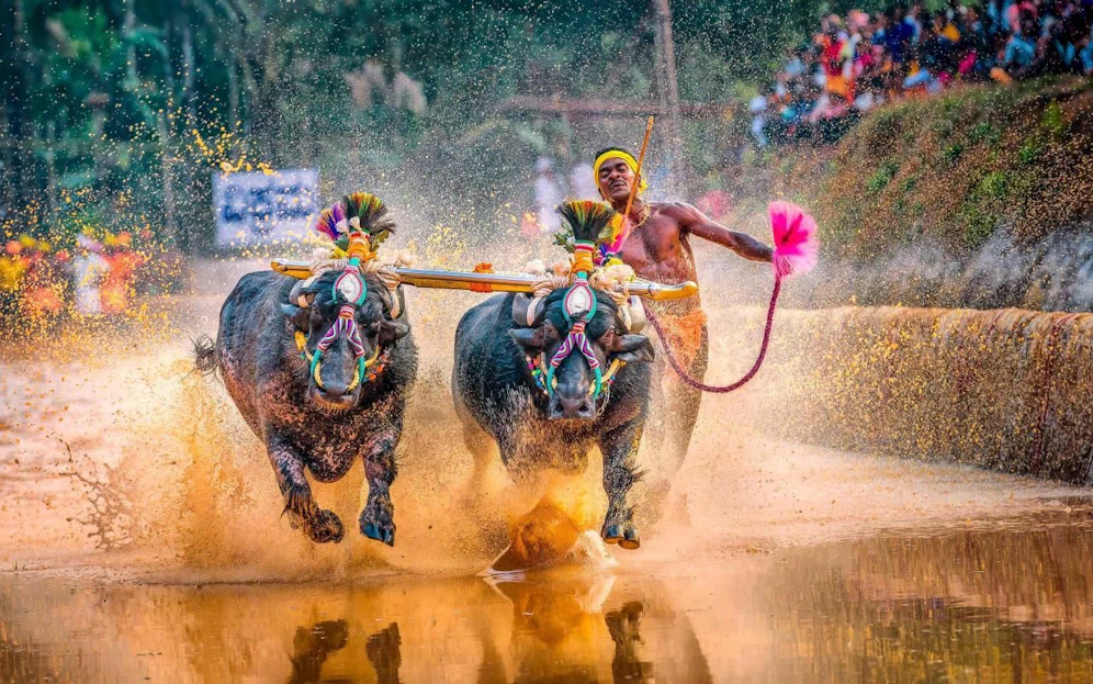 Srinivas Gowda