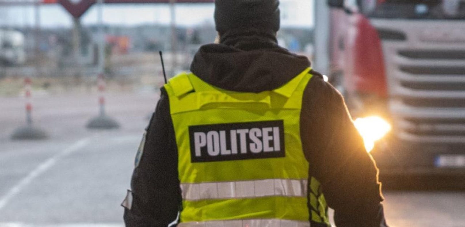 Die estische Polizei konnte einen 13-Jährigen als &quot;Terror-Kopf&quot; ausmachen.