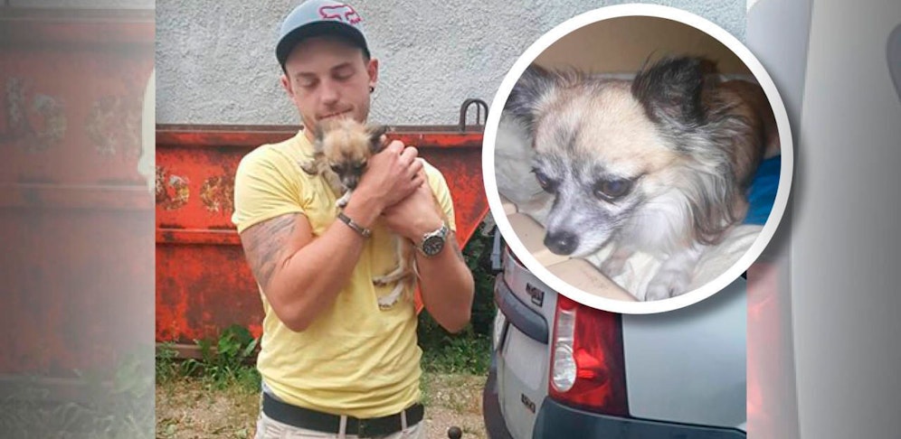 Hund "Samy" ist nach zehn Monaten wieder bei seinen Besitzern zurück. 