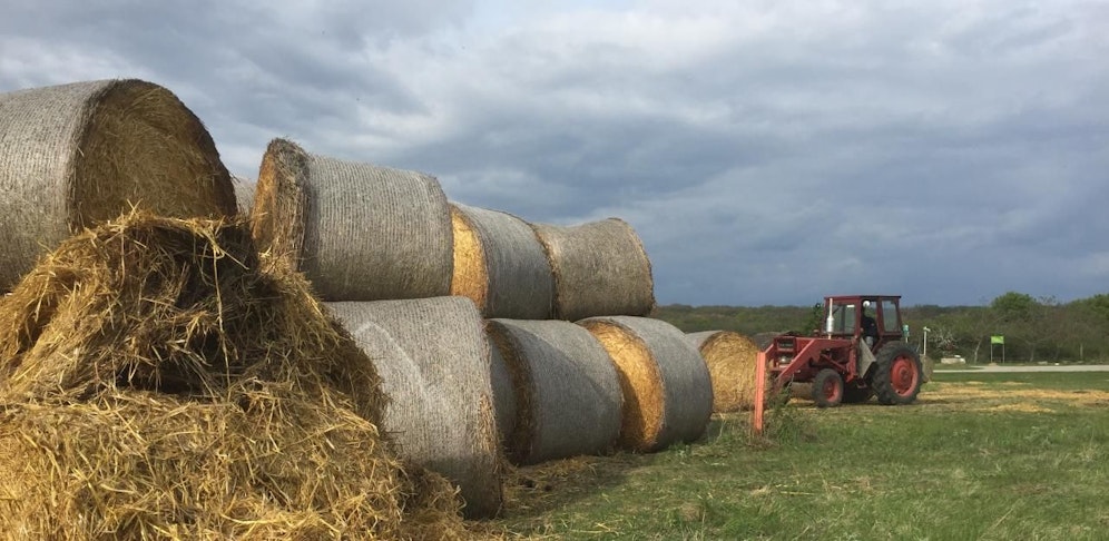 Die Bauern rüsten sich mit Strohbällen gegen den Frost