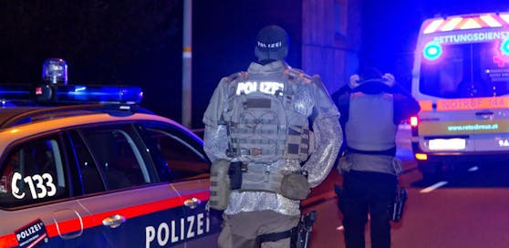 Die Polizei in der Tatnacht.