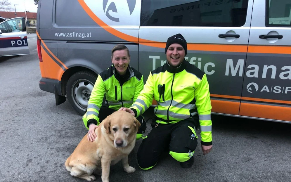 Die beiden Asfinag-Mitarbeiter brachten den Hund ins Tierheim. 
