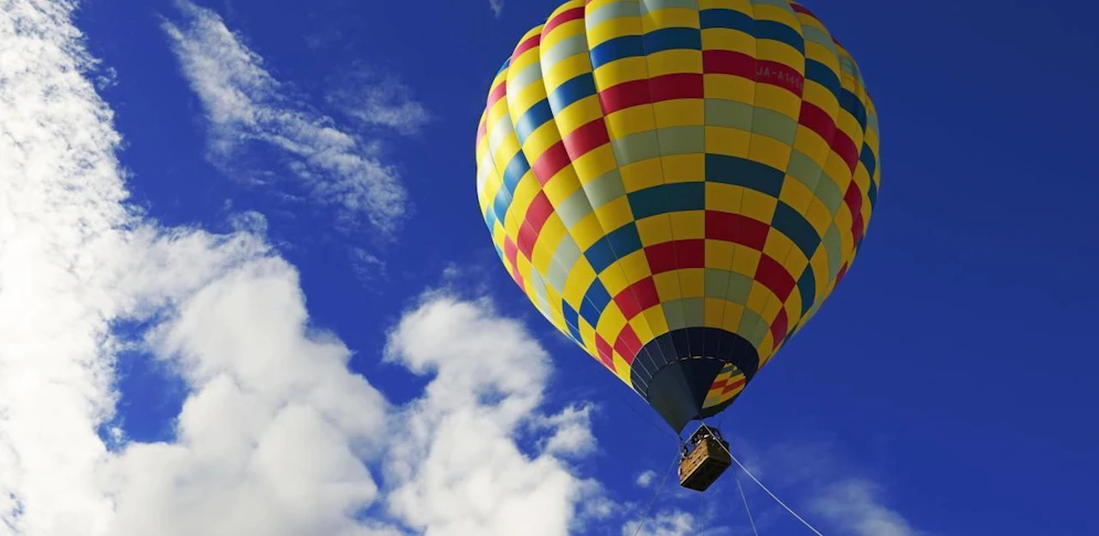 Ein Heißluftballon mit sechs Insassen ist abgestürzt.