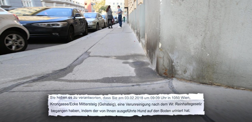 Anzeige wegen Hundelackerl: Wiener Alfred E. will saubere Gehsteige und Hausmauer. 