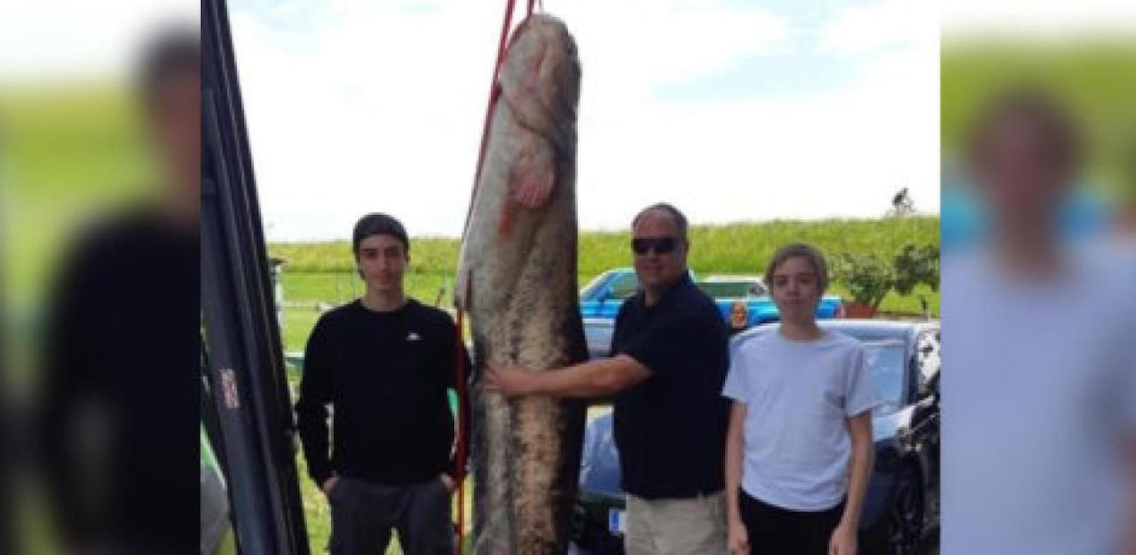 Riesen-Fisch aus dem Bodensee geangelt