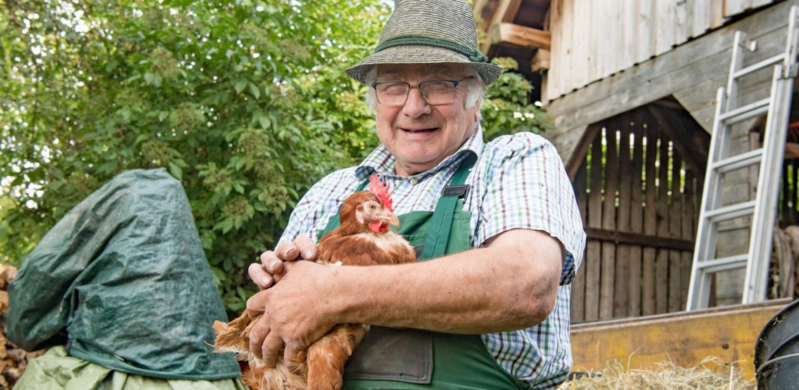 Hühner-Unfall: Henne Lisl bekommt neues Zuhause