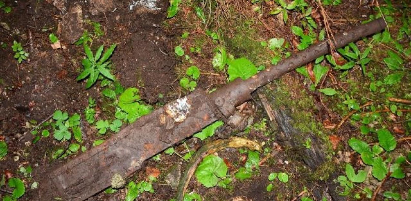 Kanone aus dem Weltkrieg beim Wandern gefunden