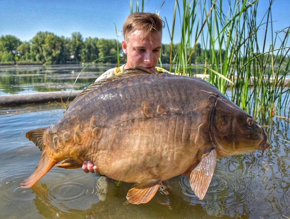 Riesiger Karpfen: James Z. präsentiert seinen jüngsten Fang in der Alten Donau.